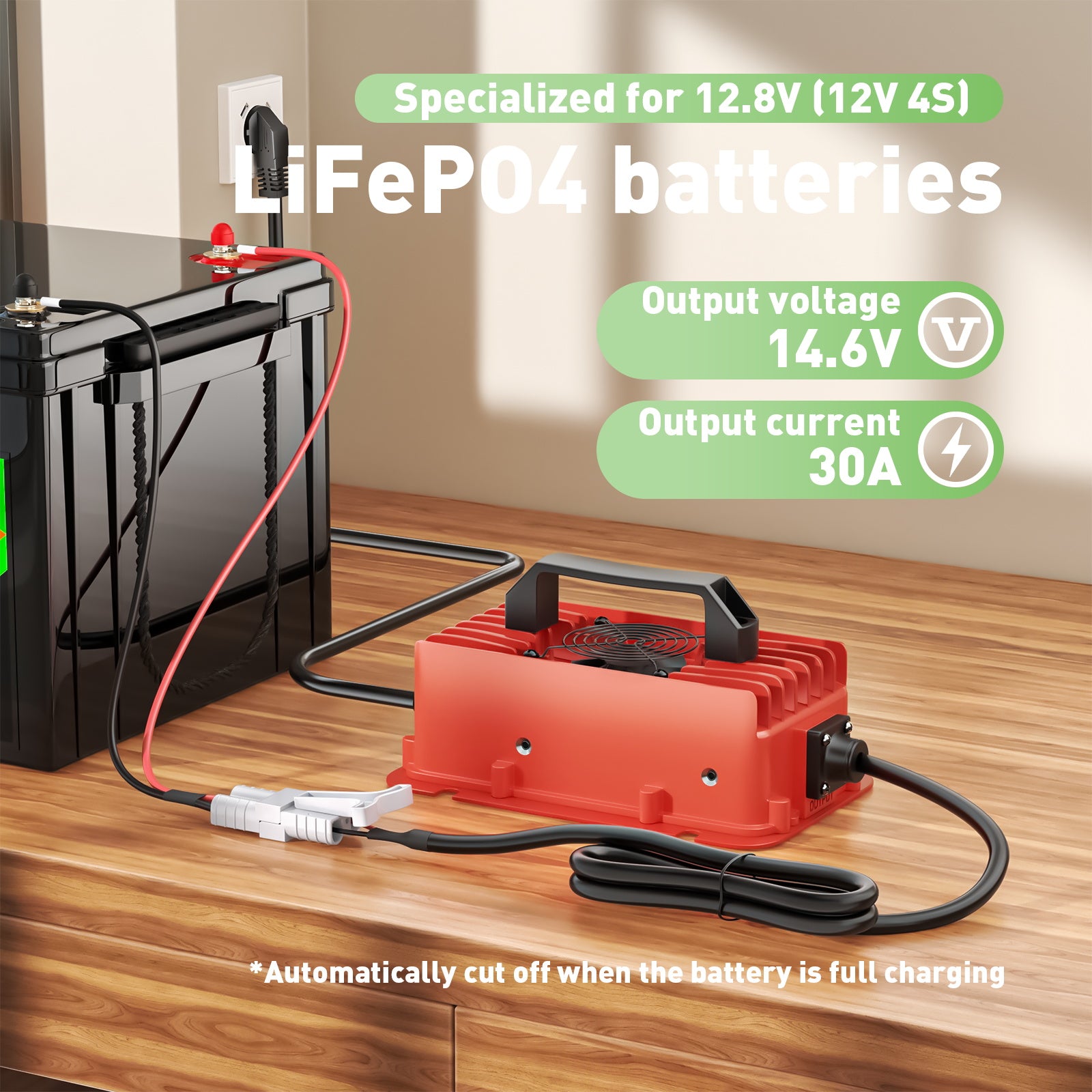 NOEIFEVO Caricabatteria LiFePO4 impermeabile 14,6 V 30 A per batteria LiFePO4 12 V (12,8 V) 4S