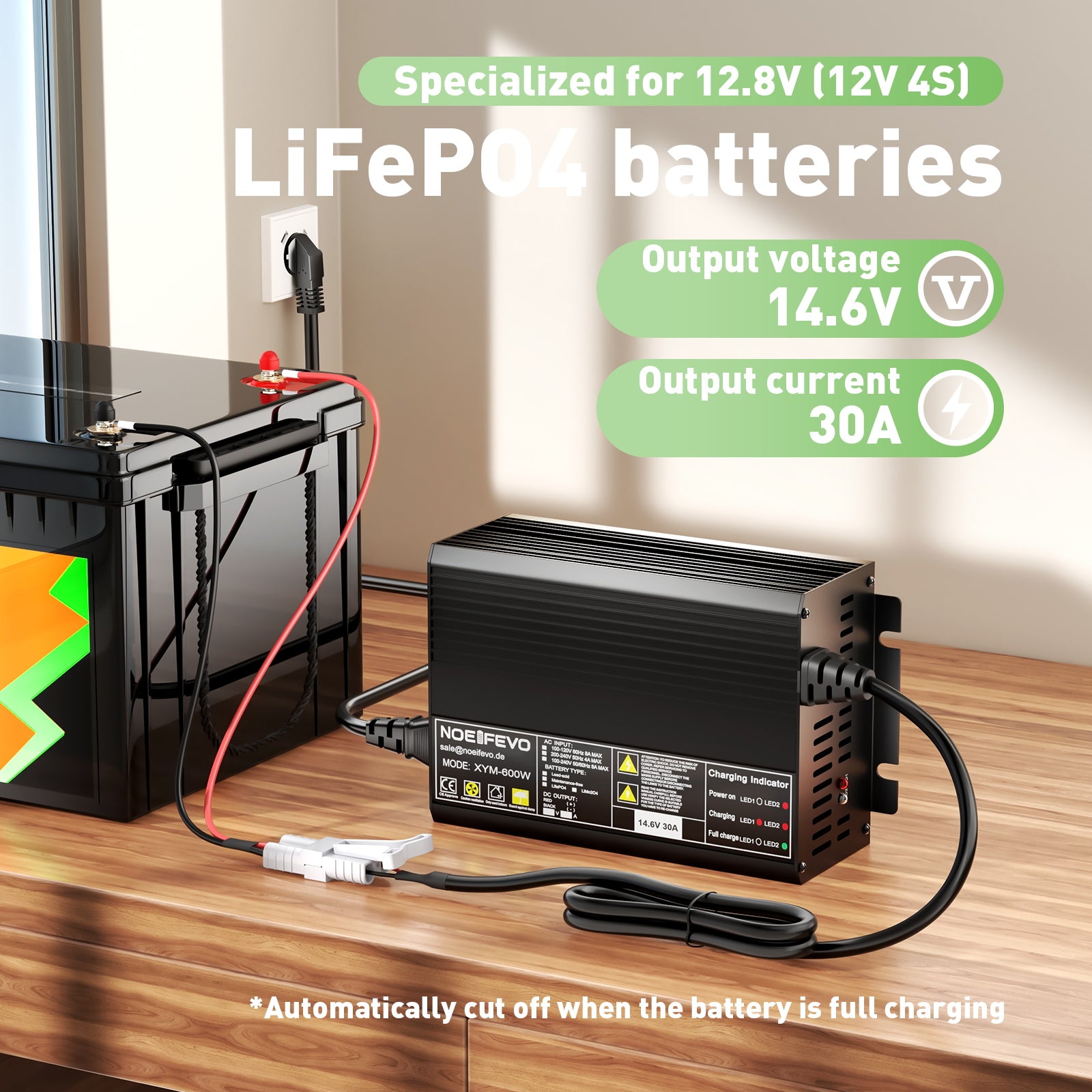 Noeifevo 12V 12,8V 30A LiFePO4 litio al batterie per Caricabatterie  , tensione di carica 14,6V, attivazione BMS 0V, spegnimento automatico, alloggiamento in alluminio