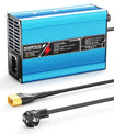 NOEIFEVO 16.8V 10A Caricabatterie al Litio per batterie Li-Ion Lipo 4S 14.8V, Ventola di raffreddamento, spegnimento automatico (BLU)