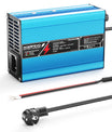 NOEIFEVO 36.5V 2A 3A 3.5A 4A LiFePO4 Batterijoplader voor 10S 32V LiFePO4 Batterij, automatische uitschakeling (BLAUW)