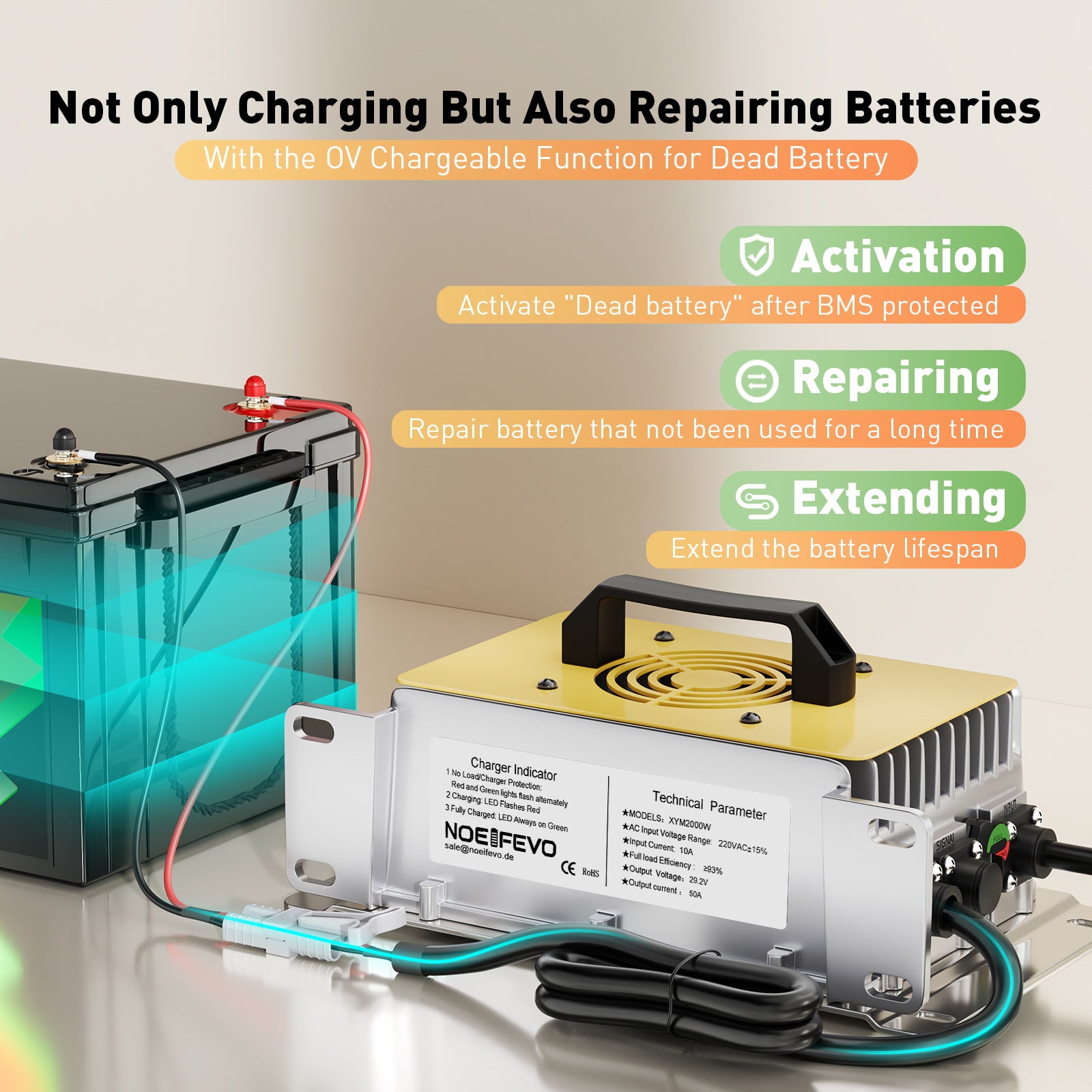 NOEIFEVO 29,2 V 50A rapido Caricabatterie per batteria al litio LiFePO4 da 24 V 25,6 V, impermeabile, attivazione BMS 0 V